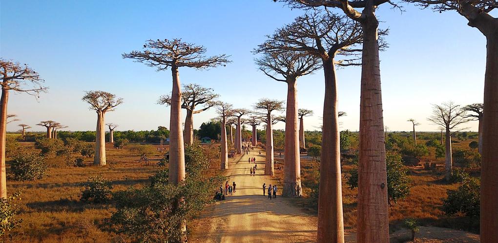 Morondava